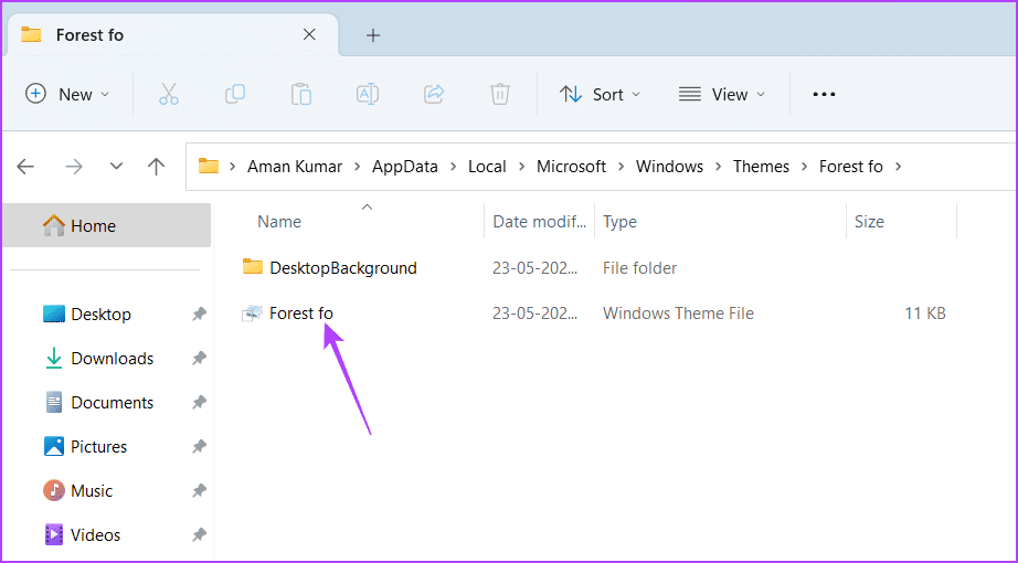Theme file in the File Explorer