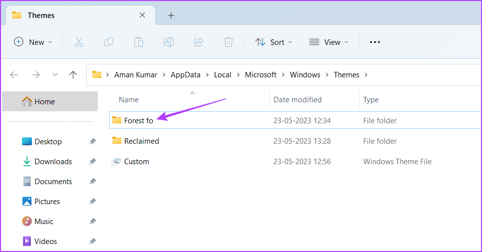 Themes folder name in the File Explorer