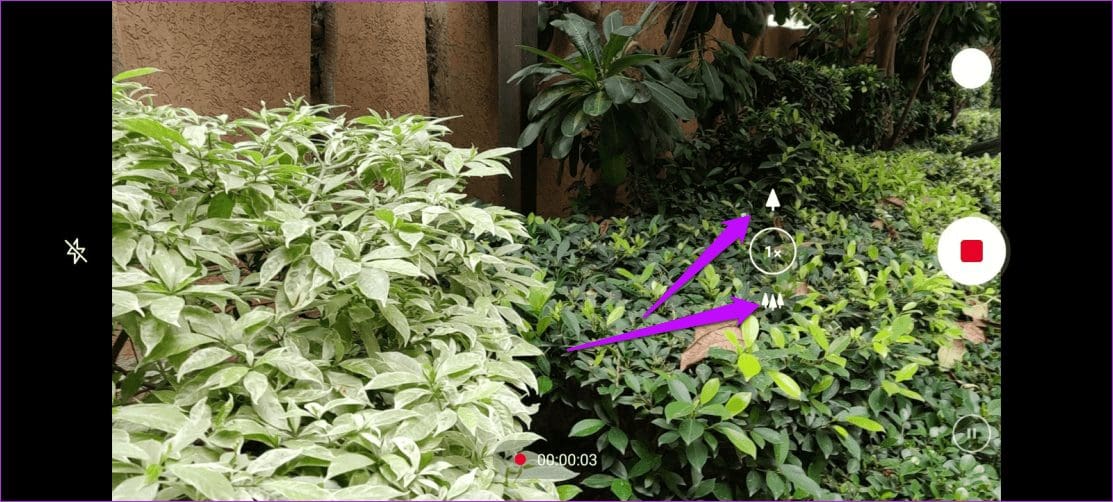 Top Best One Plus 7 T Camera Tricks To Better Your Photography Game 1