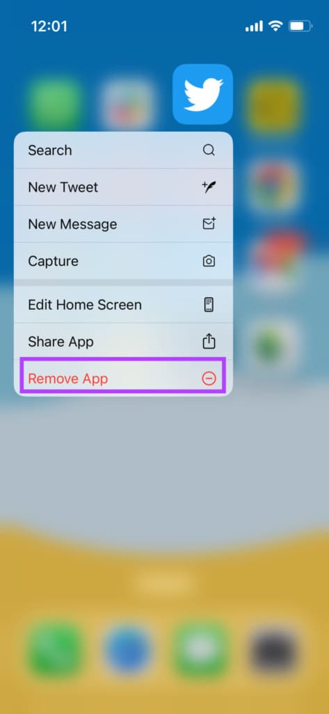 remove twitter app