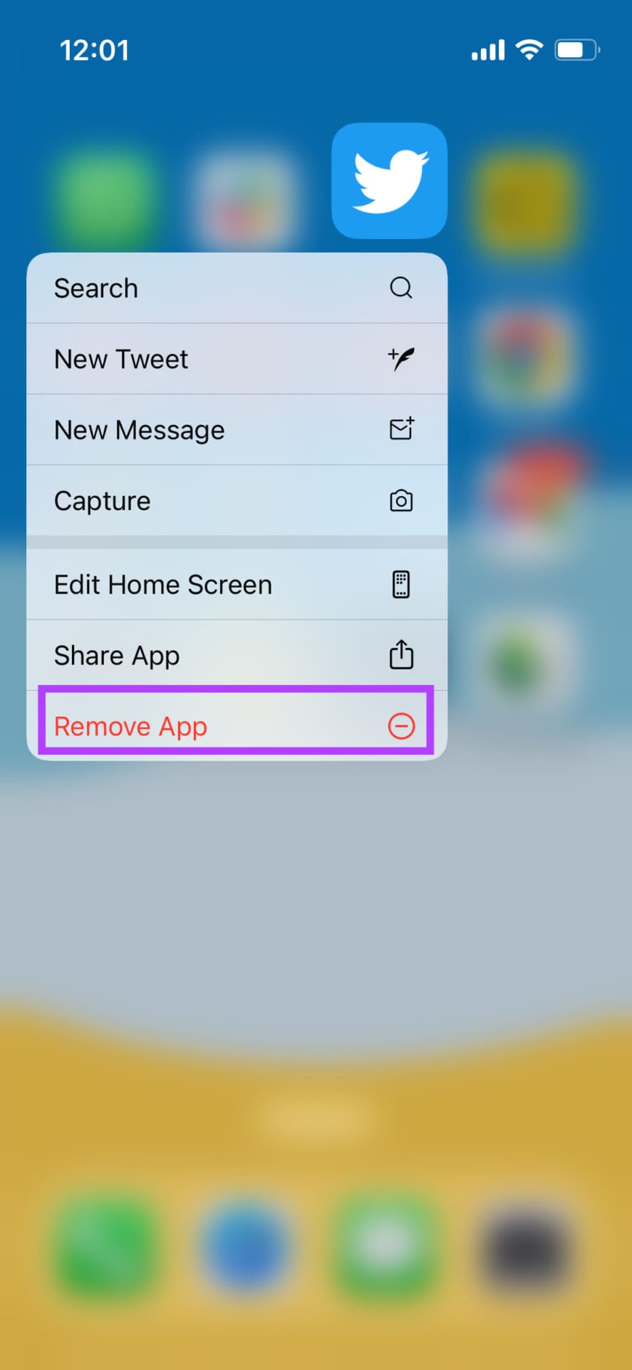 remove twitter app