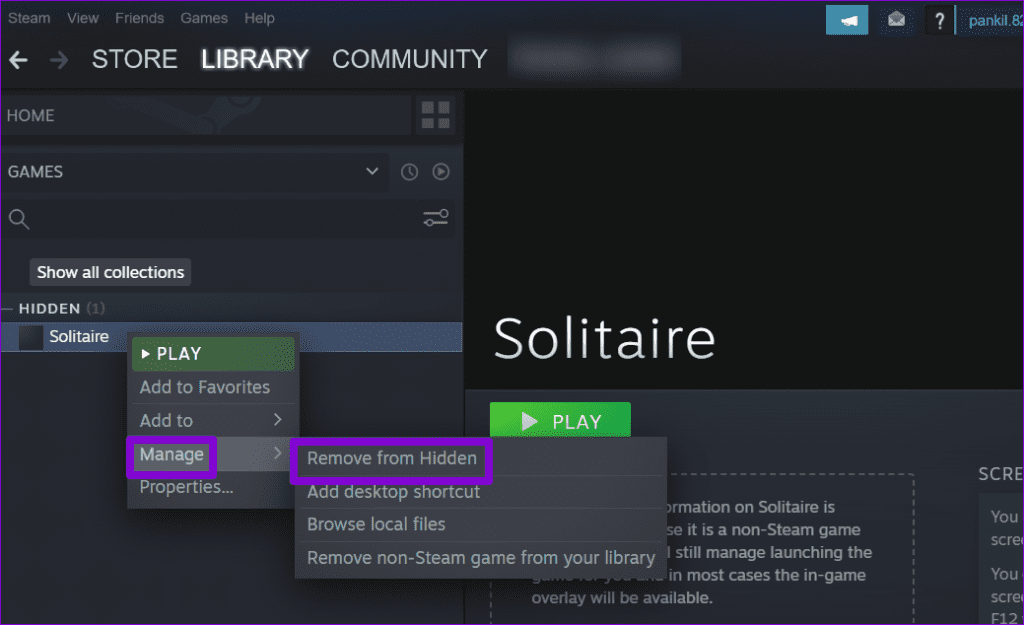Unhide Steam Game