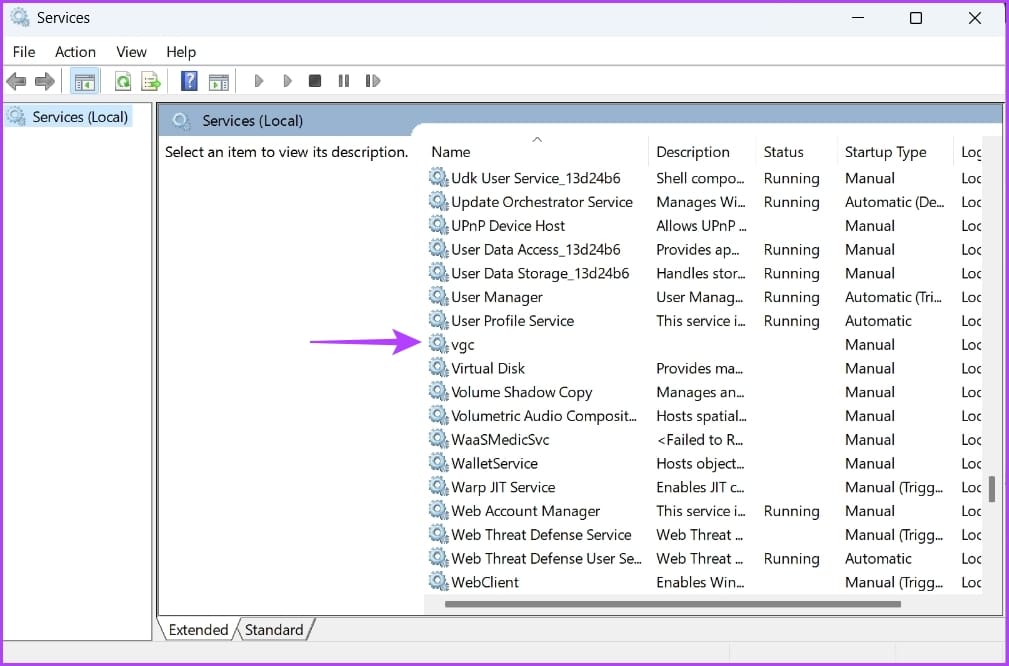 vgc service in the services window