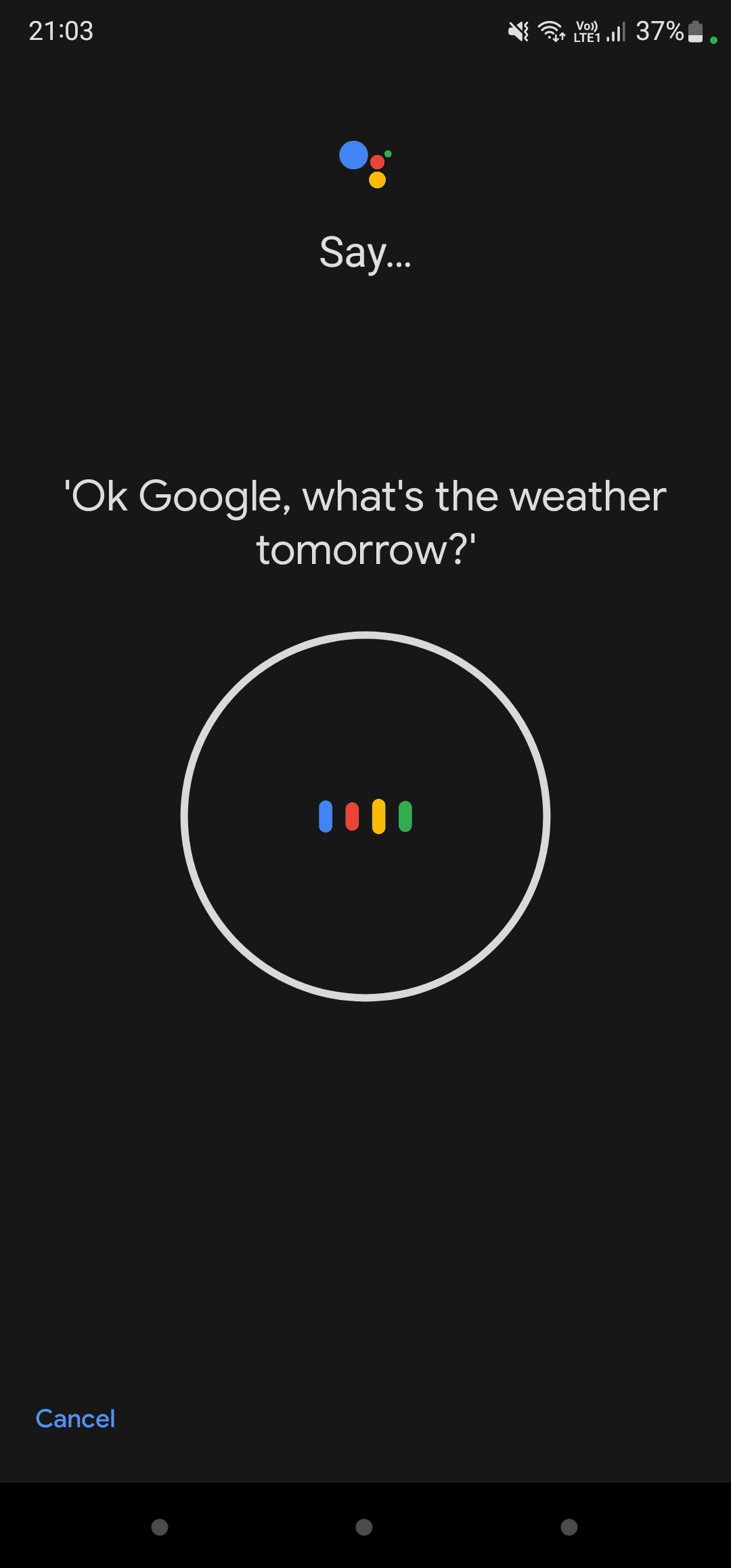 Google Assitant voice match