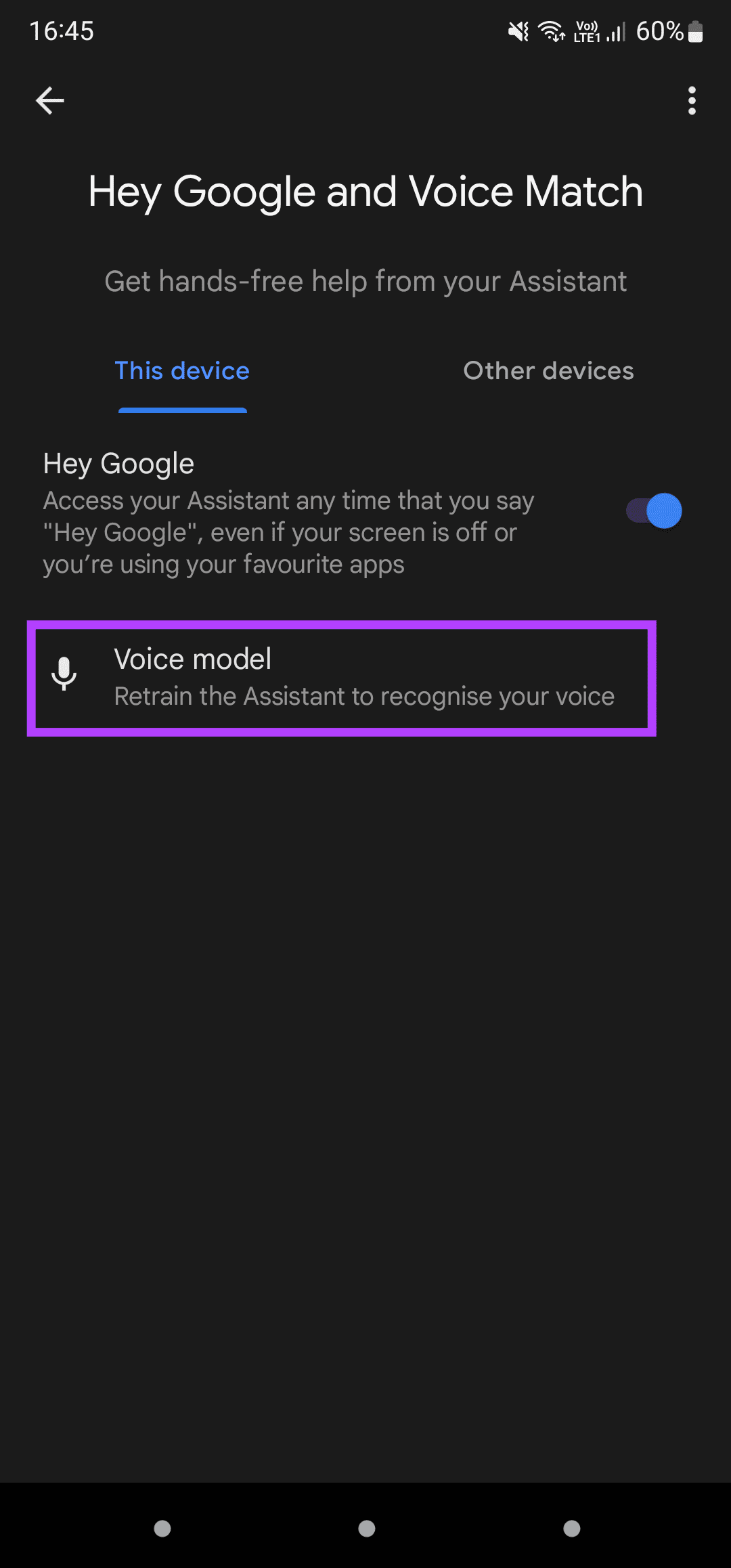 Voice model