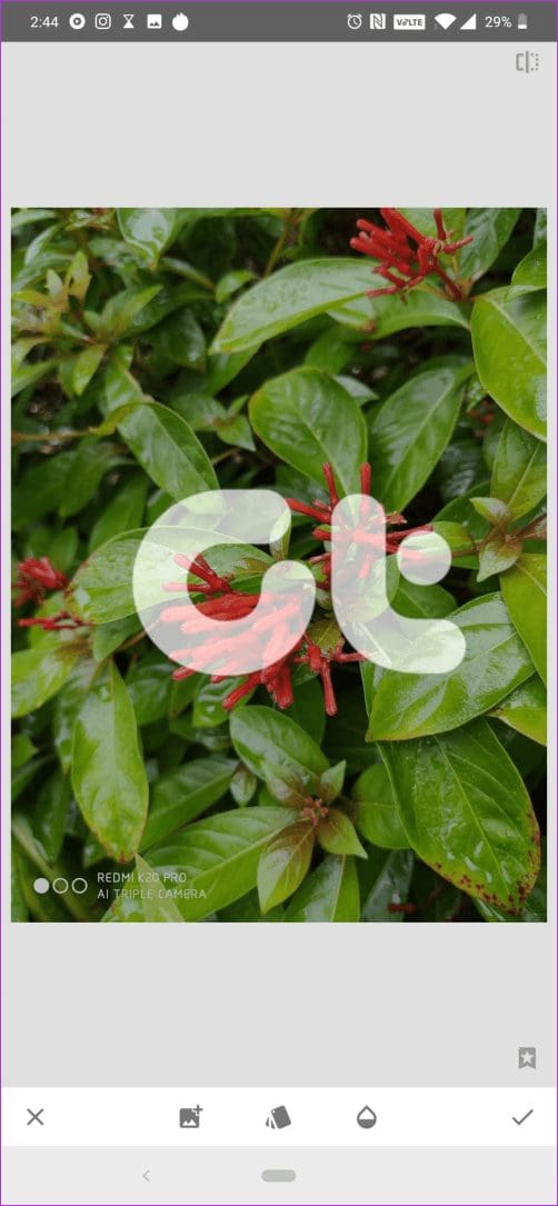 Watermark Photos Using Snapseed 1