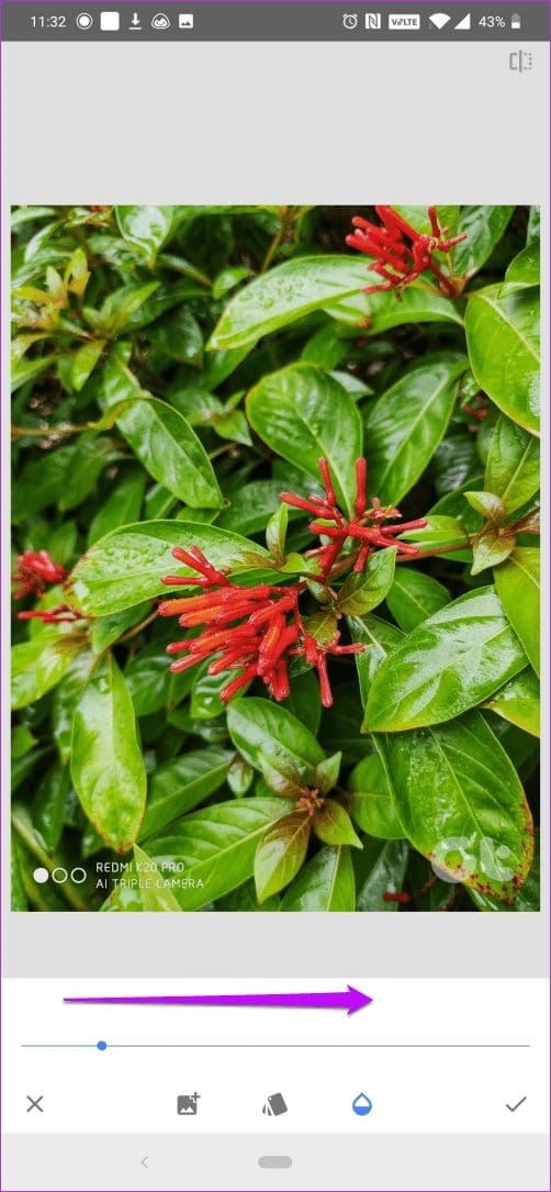 Watermark Photos Using Snapseed On Android And I Os 10