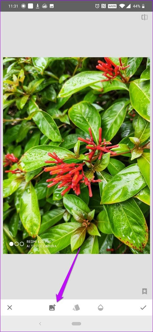 Watermark Photos Using Snapseed On Android And I Os 9