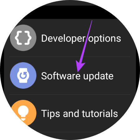 software update