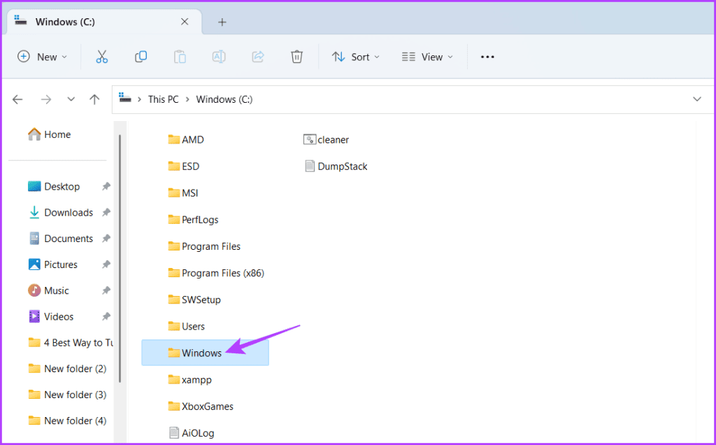 Windows Folder in the File Explorer