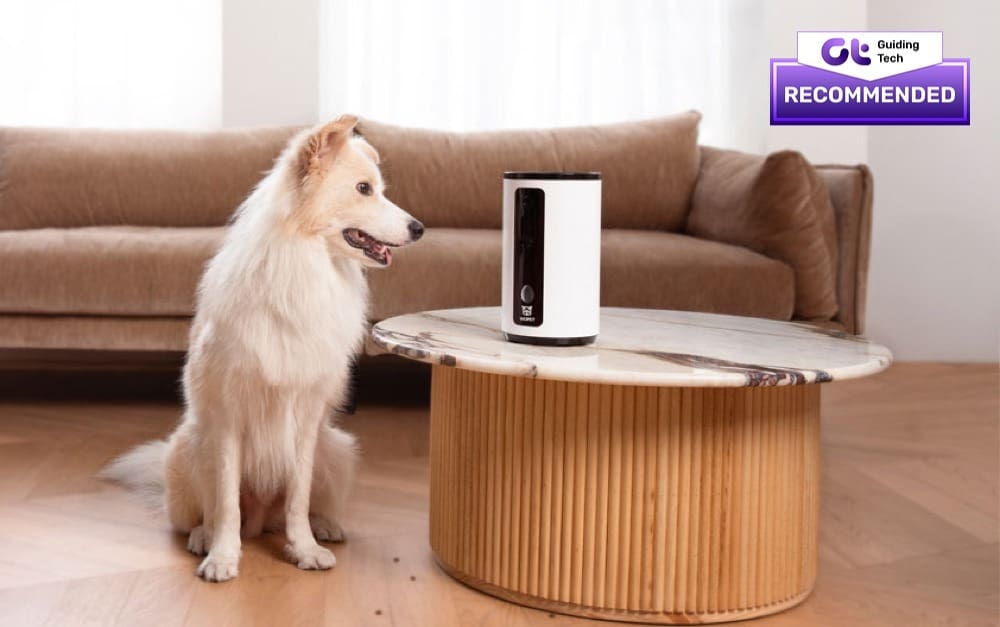 Best Pet Cameras Without Subscription Wopet dog camera