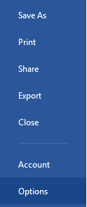 Word13 Options
