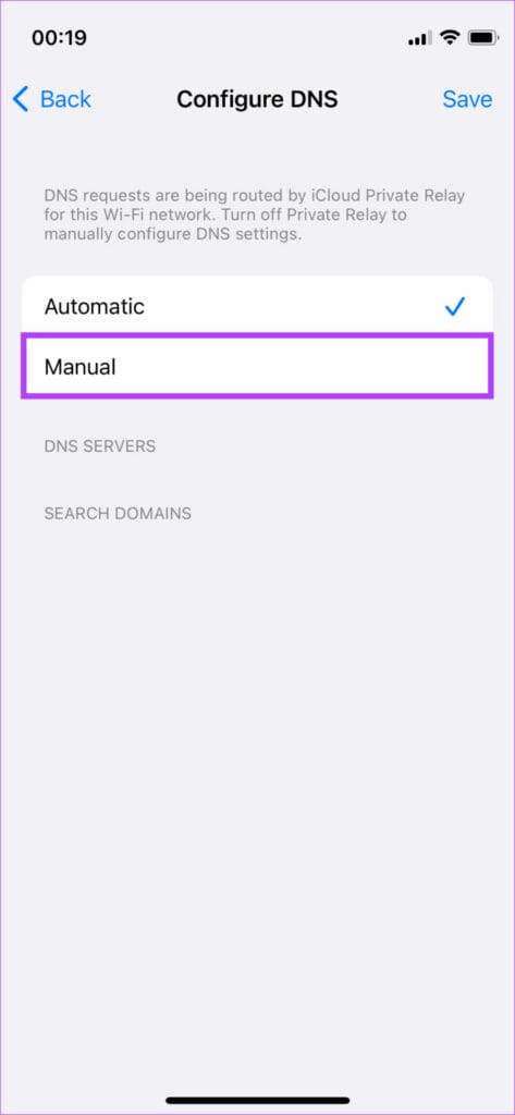 Manual DNS
