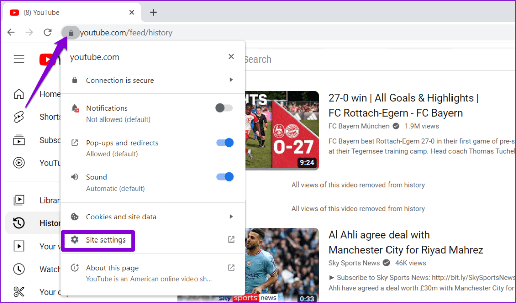 YouTube Site Data in Chrome