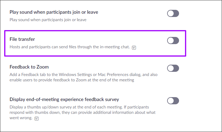 Zoom Best Privacy Tips Settings Options 13