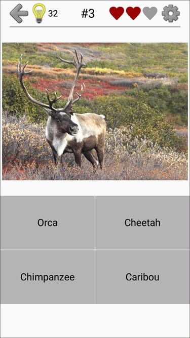 Apps To Learn About Animals Animal Quiz 2