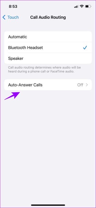 Select the Auto-Answer calls option