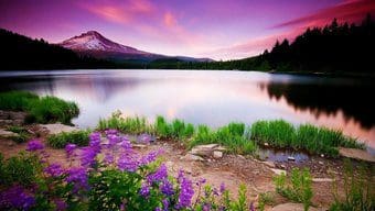Background Nature 21 1024X576