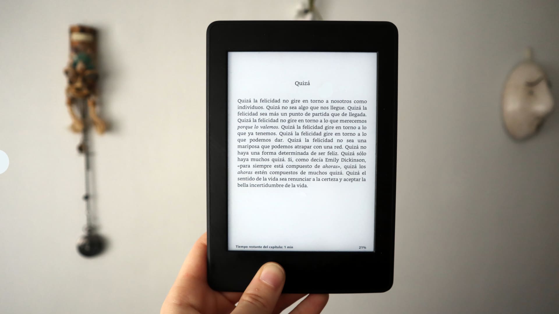 best kindle paperwhite accessories