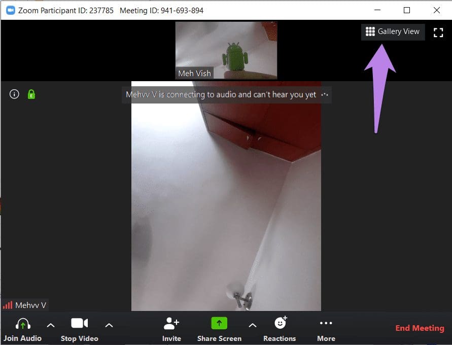 Best zoom video settings 14