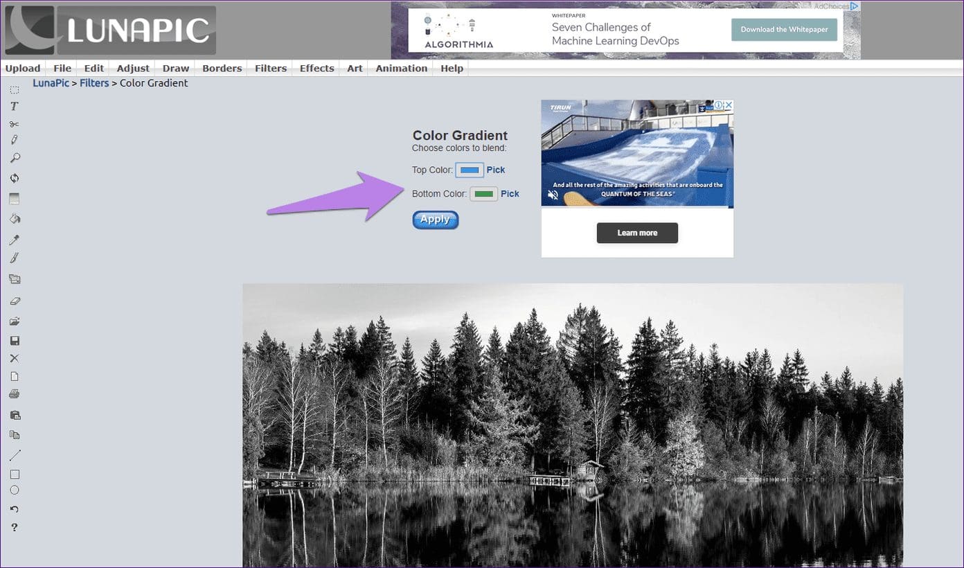 Black And White To Color Online 12