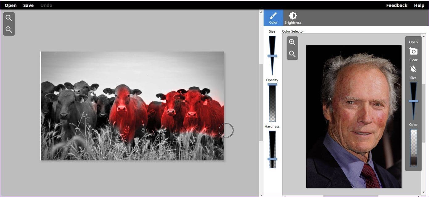 Black And White To Color Online 8