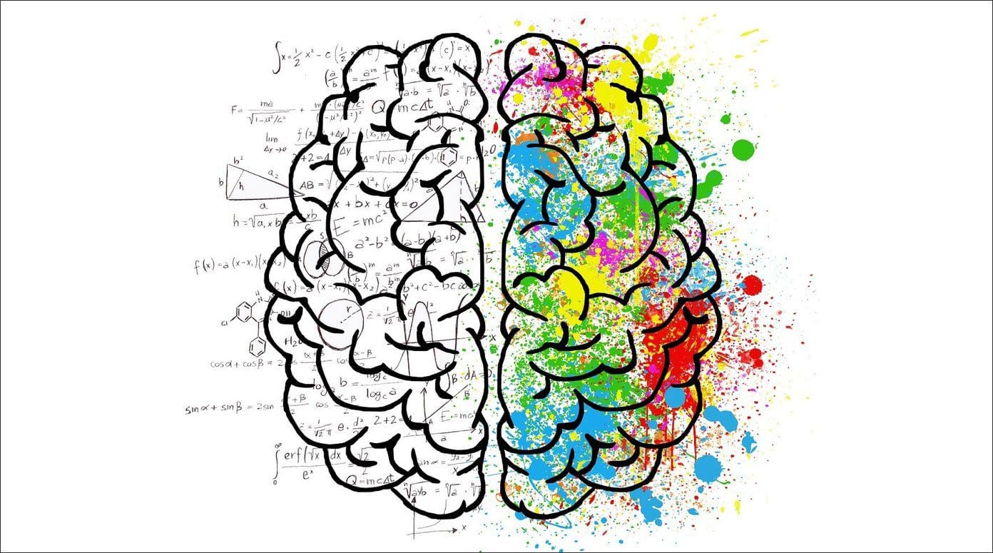 Brain 2062057 1280