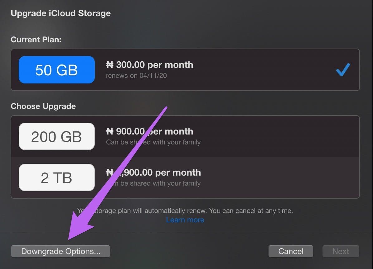 Cancel icloud storage plan without iphone 03