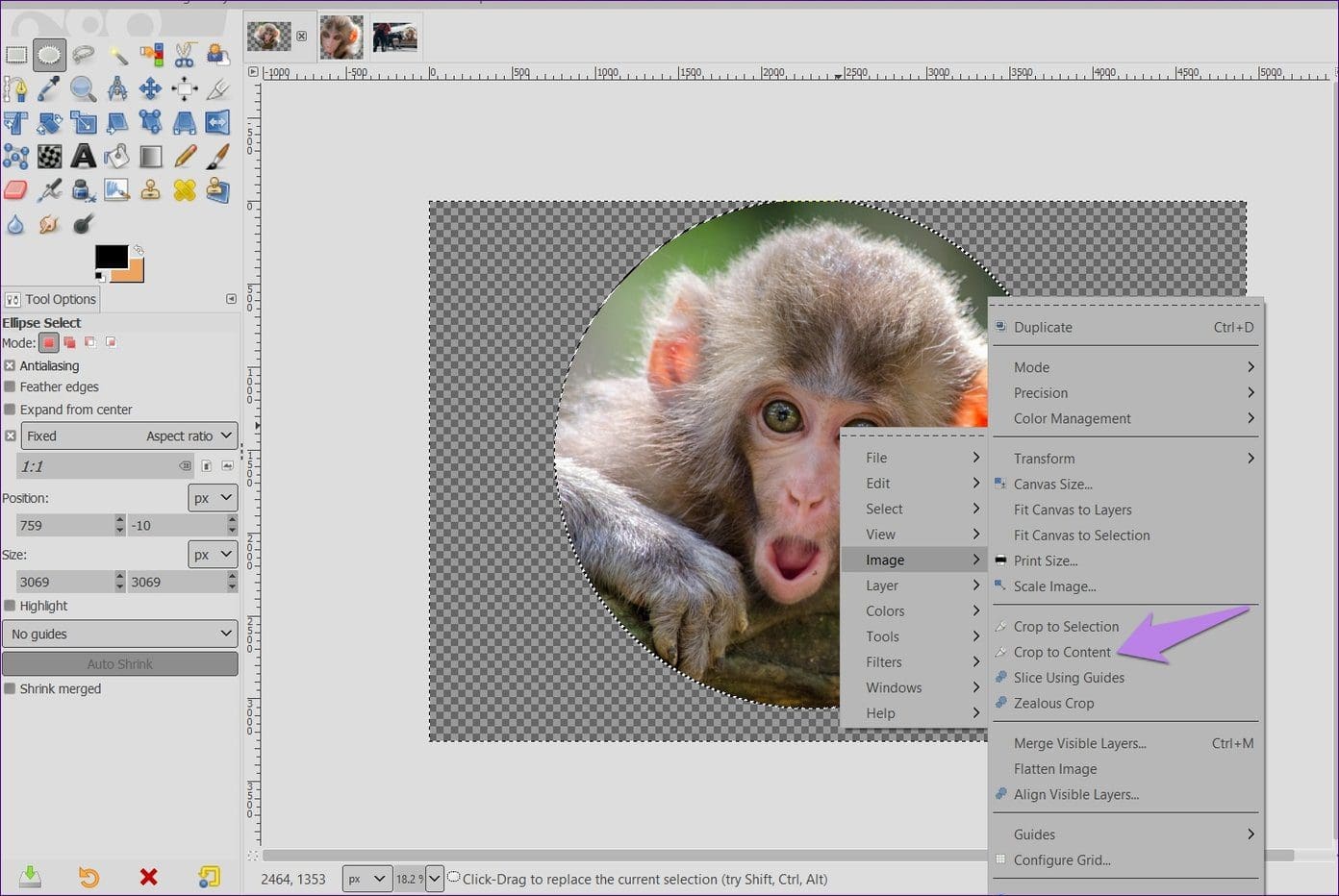 Circle Crop In Gimp 10