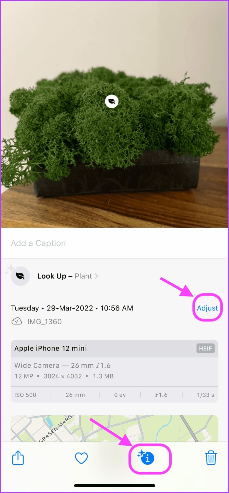 click on the adjust button