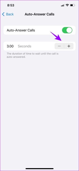 Auto answer time delay duration 