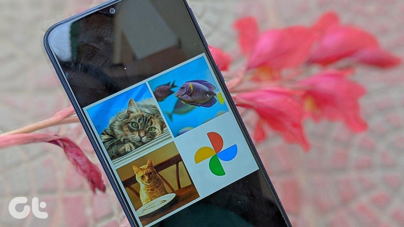Create collage in google photos mobile and computer fi