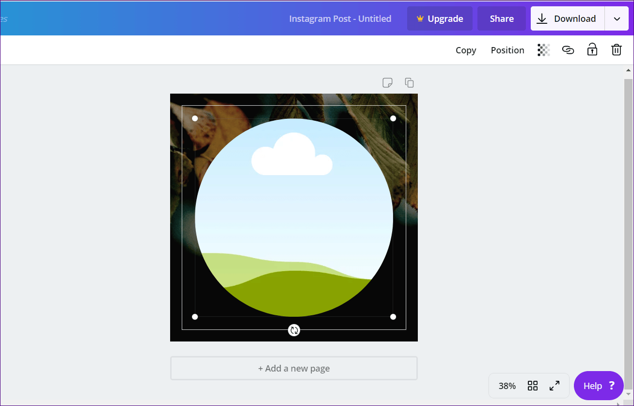 Crop Into Shape Canva 11