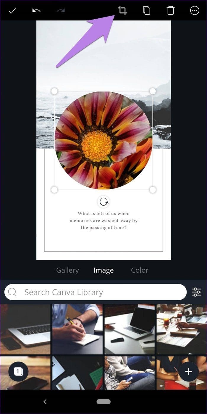 Crop Into Shape Canva 31