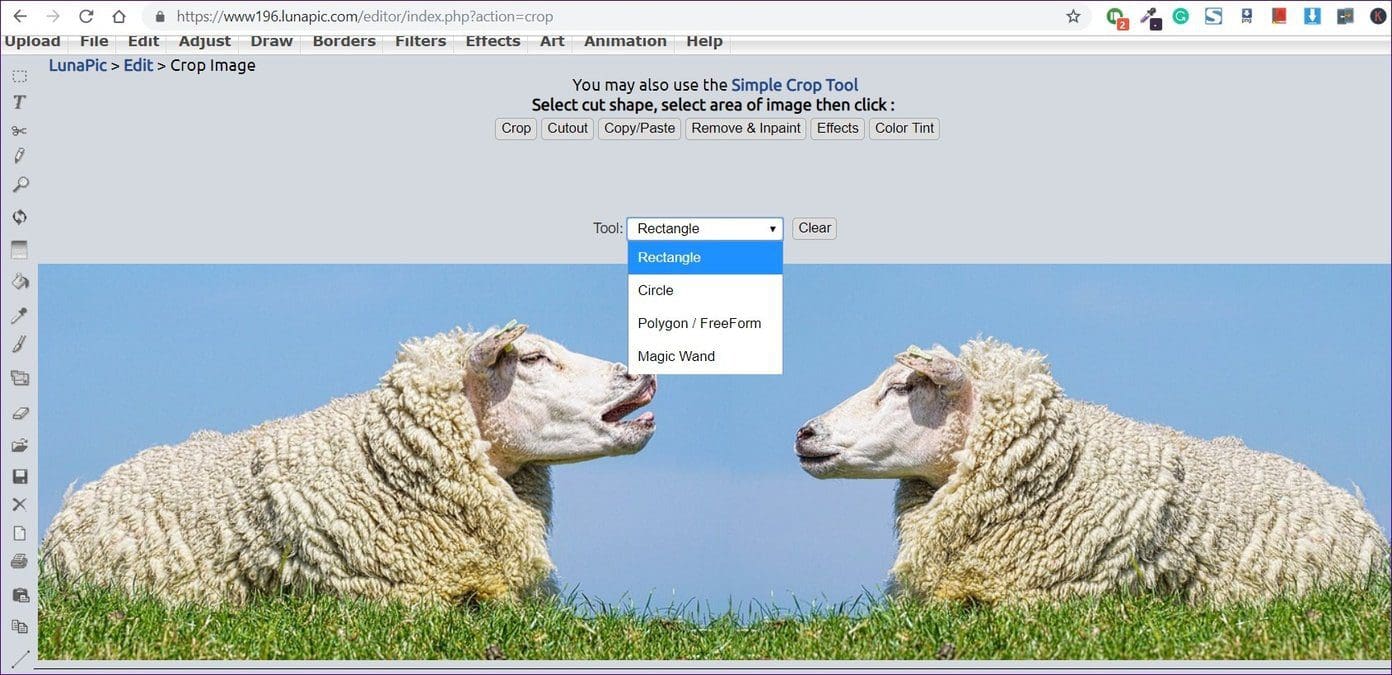 Crop Picture Shapes Online 11