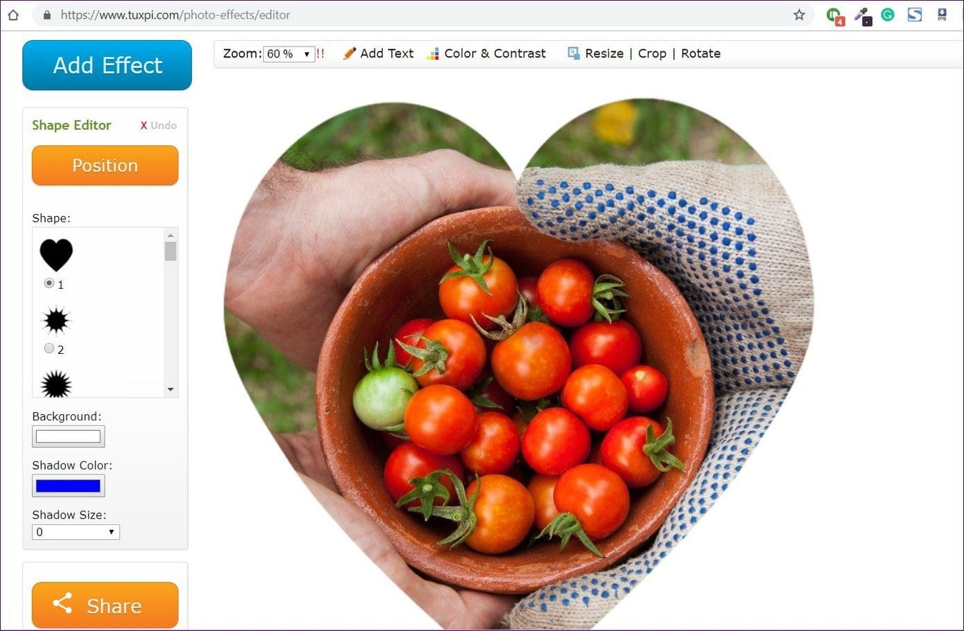 Crop Picture Shapes Online 2