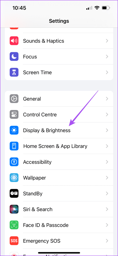 display and brightness settings iPhone