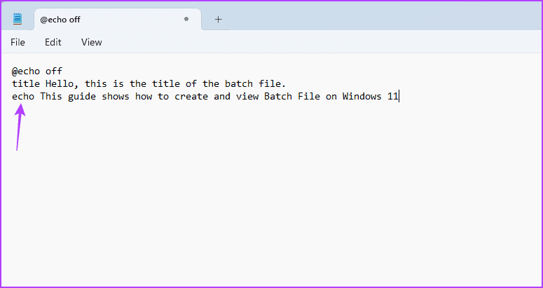 echo command in notepad