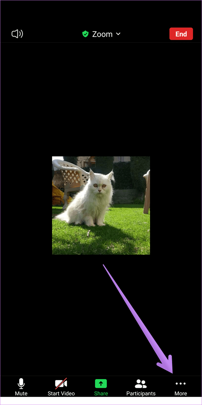 Enable screen sharing for participants on zoom as host android iphone ipad windows mac 6