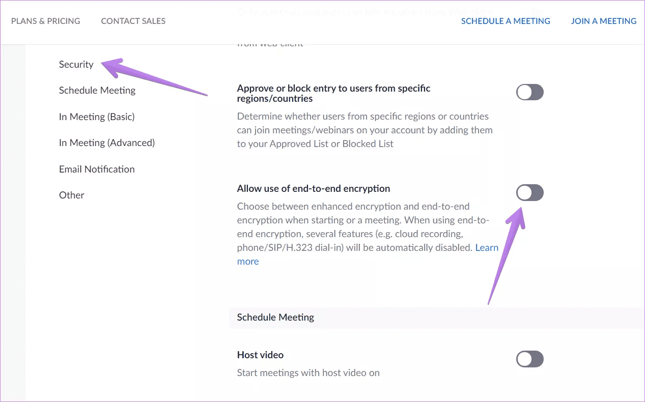 Enable zoom encryption