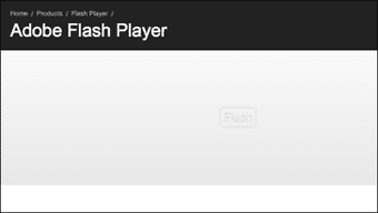 Flash1