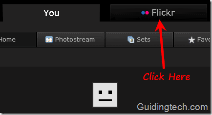 Flickr Bulkr1