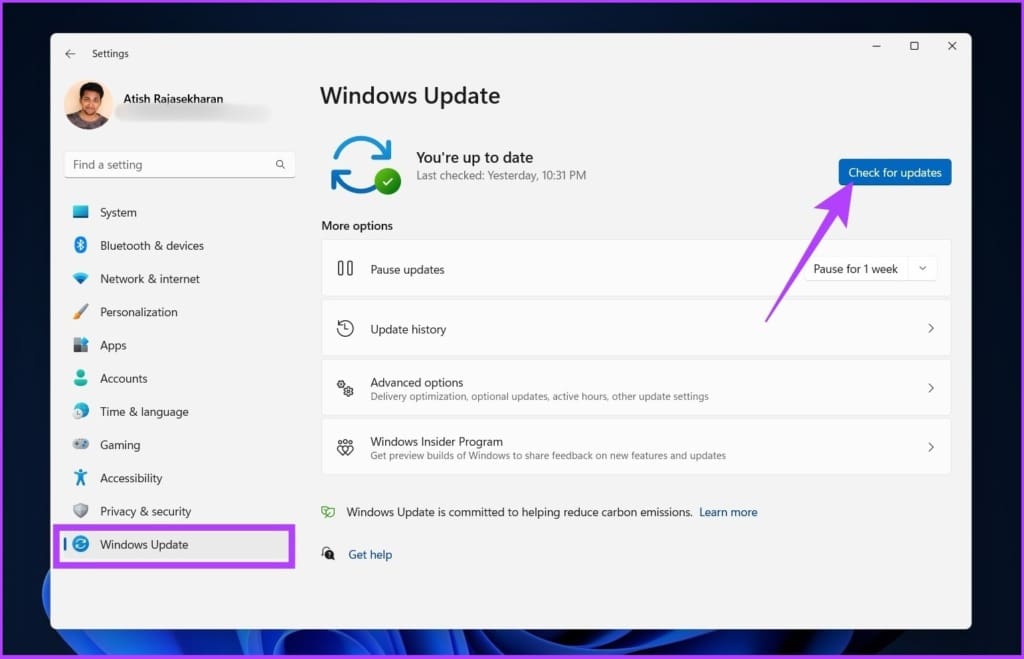 Go to Windows Update from the sidebar