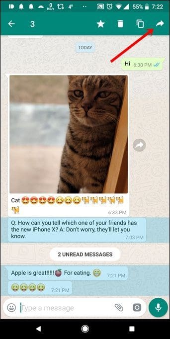 Forward Multiple Messages In Whatsapp 1