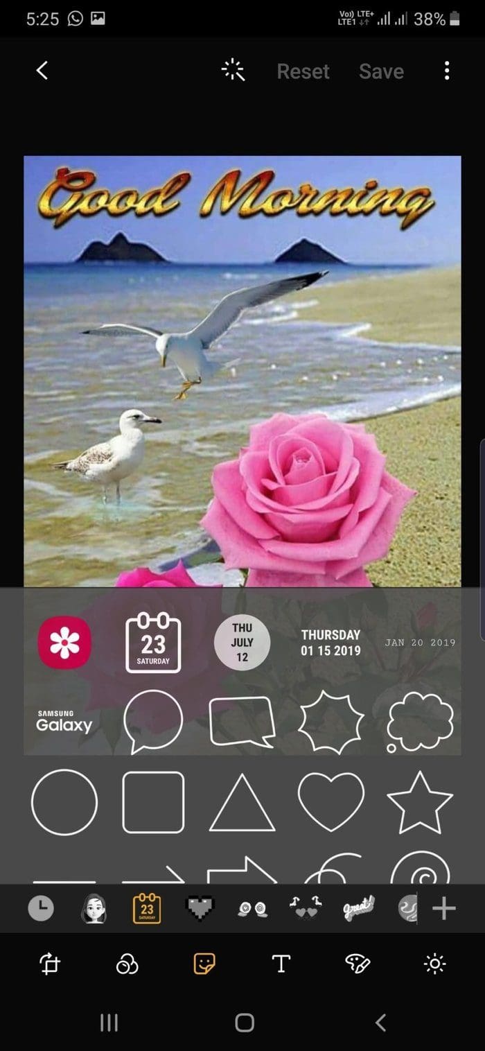 Gallery Edit 3