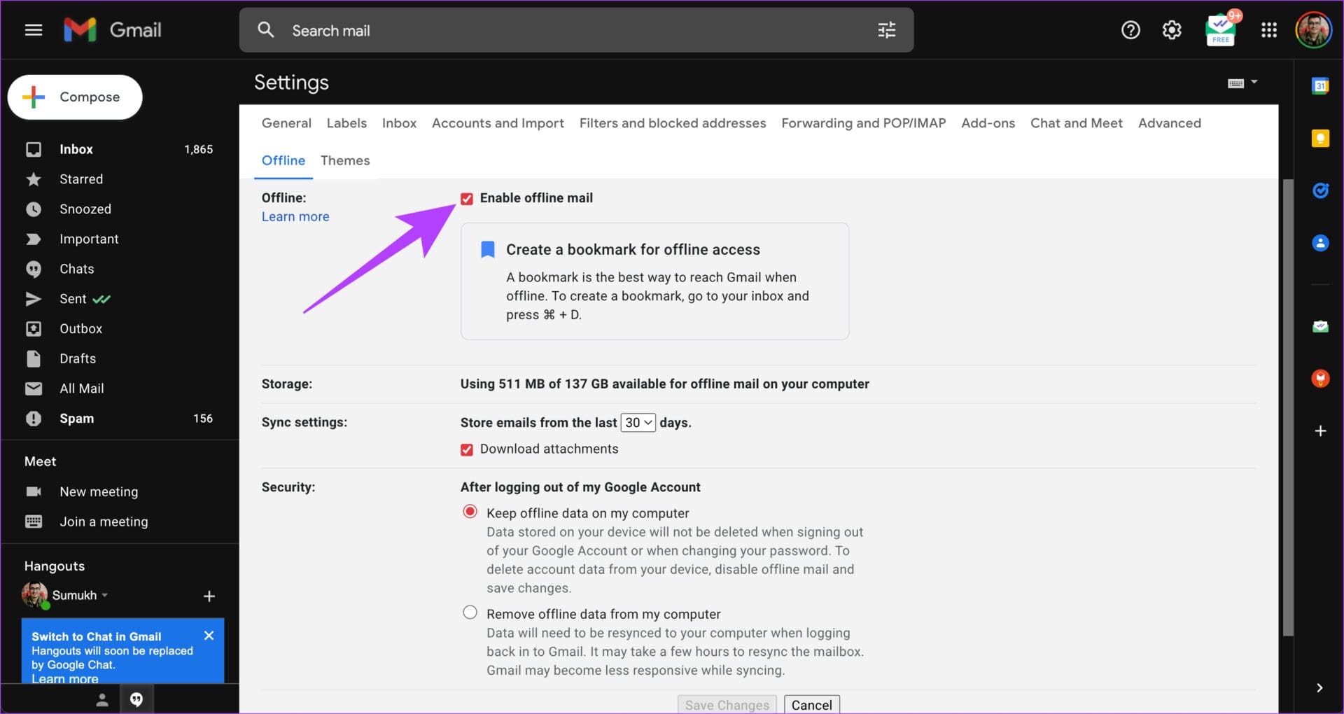 Disable Gmail offline