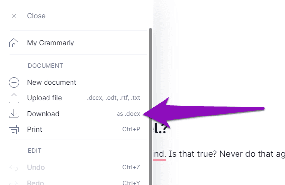 Grammarly vs ginger 05