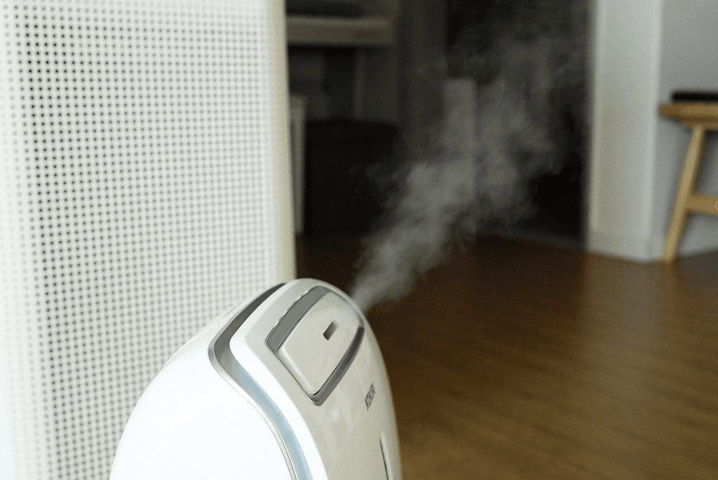 Humidifier Buying Guide