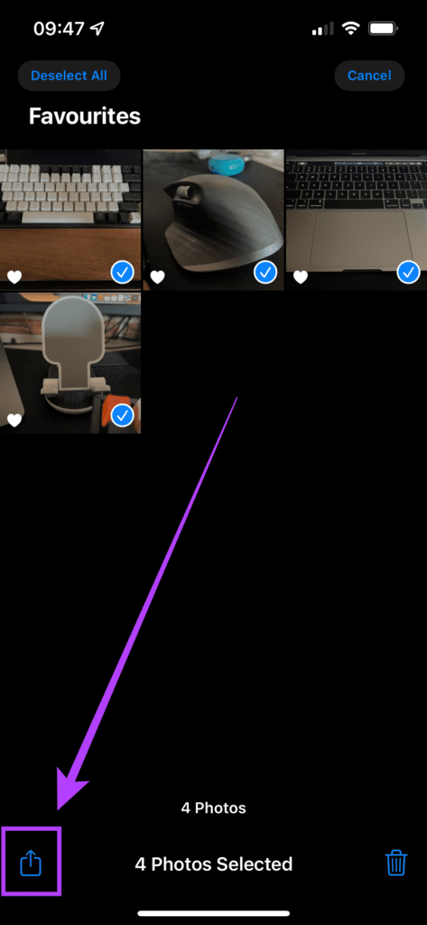 Share icon in photos