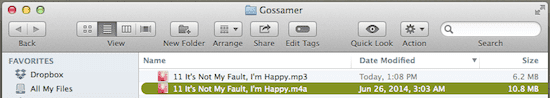 I Tunes File Converted